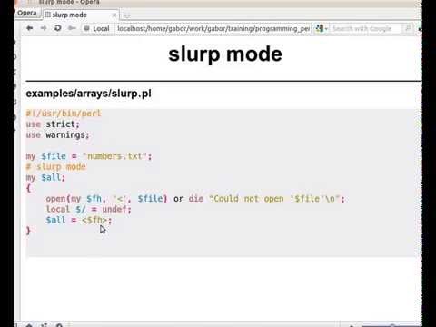 Beginner Perl Maven tutorial: 5.5 - slurp