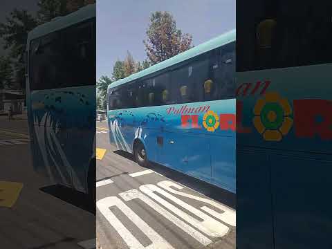 Mascarello 3.45 Llegando Y Saliendo De San Luis De Macul De La Empresa Pullman Florida