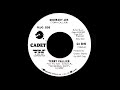 Terry Callier - Ordinary Joe