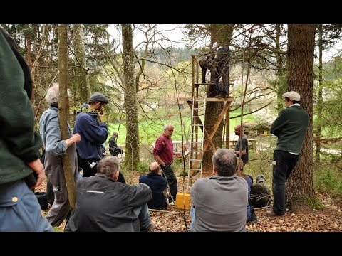 Zeidlerei: Imkern wie vor 500 Jahren