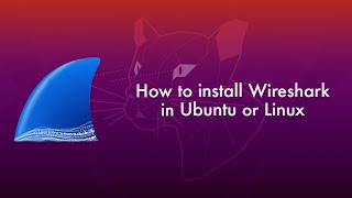 How to install wireshark in ubuntu (ubuntu20.04) with out errors