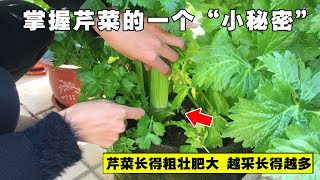 [請益] 股價因子邏輯性