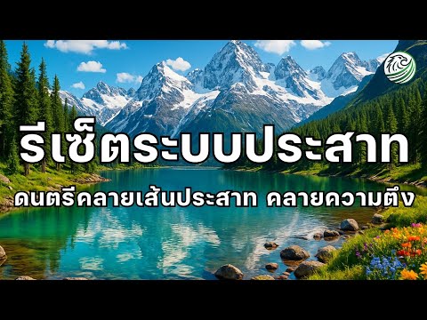 เพลงบำบัดระบบประสาท เพลงรีเซ็ตระบบประสาท คลายเส้นประสาทที่ตึง ลดความเครียดทำให้ร่างกายผ่อนคลายลึก 