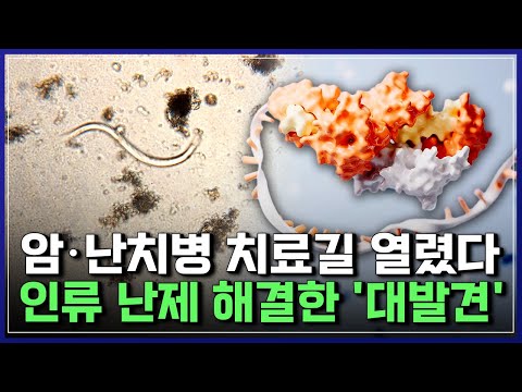 암·난치병 치료길 열렸다! 인류 난제 해결, 과학계 뒤흔든 충격적 발견 [반복재생] / YTN 사이언스