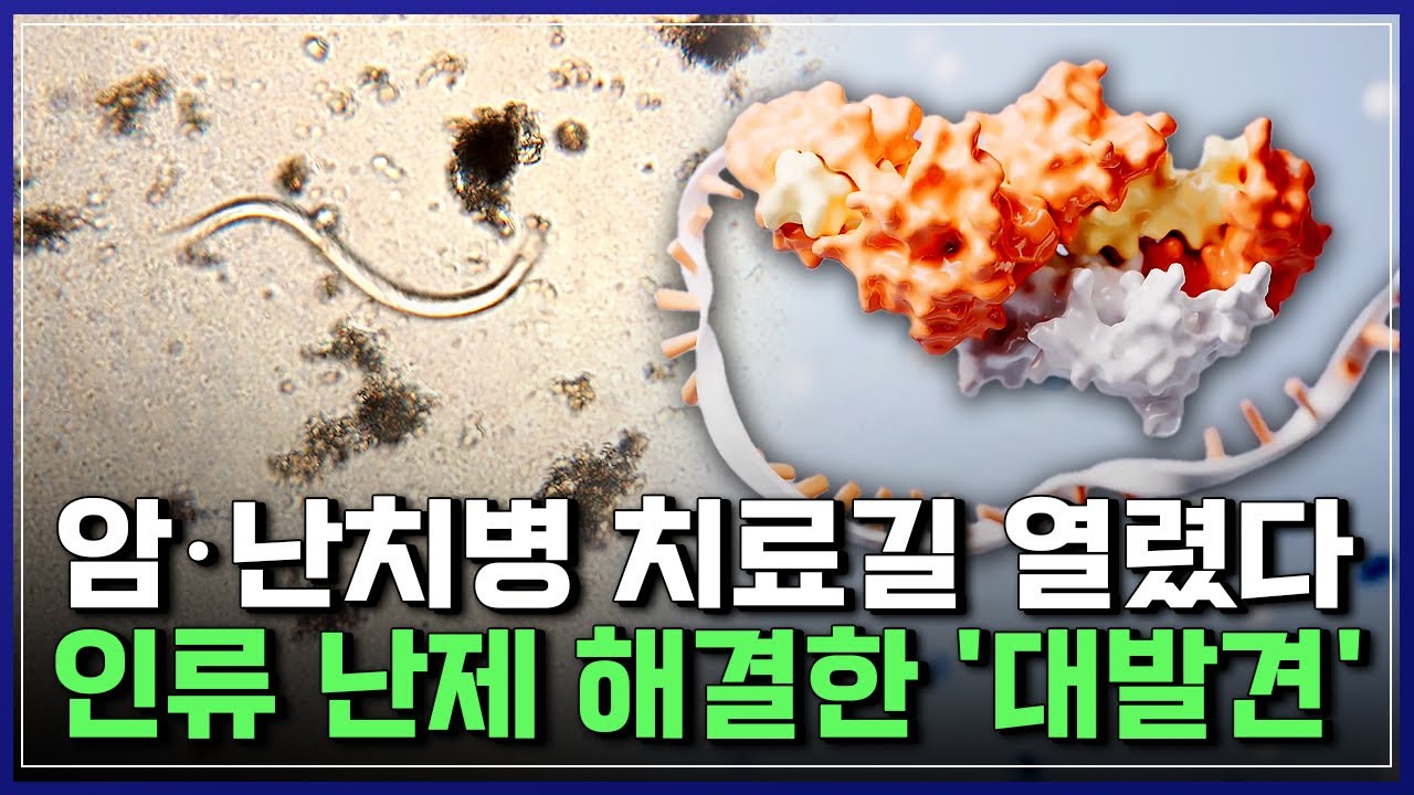 암·난치병 치료길 열렸다! 인류 난제 해결, 과학계 뒤흔든 충격적 발견 [반복재생] / YTN 사이언스