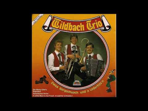 12.Wildbach Trio - Spotzerl drau di her über'n Zaun