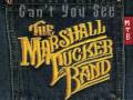 The Marshall Tucker Band - Can't You See 