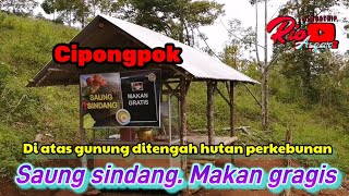 Download lagu saung sindang makan gratis di puncak gunung cipongpok siapa saja yang mau ambil sendiri sepuasnya mp3 Download lagu saung sindang makan gratis di puncak gunung cipongpok siapa saja yang mau ambil sendiri sepuasnya mp3