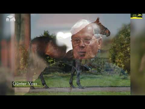 Gestüt Letter Berg, Prämienhengst Nabucco von Najeeb AA – Radautz, geb. 2002