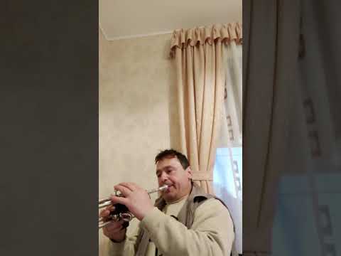 trompeta Cornel Solomon muzica pasiune.