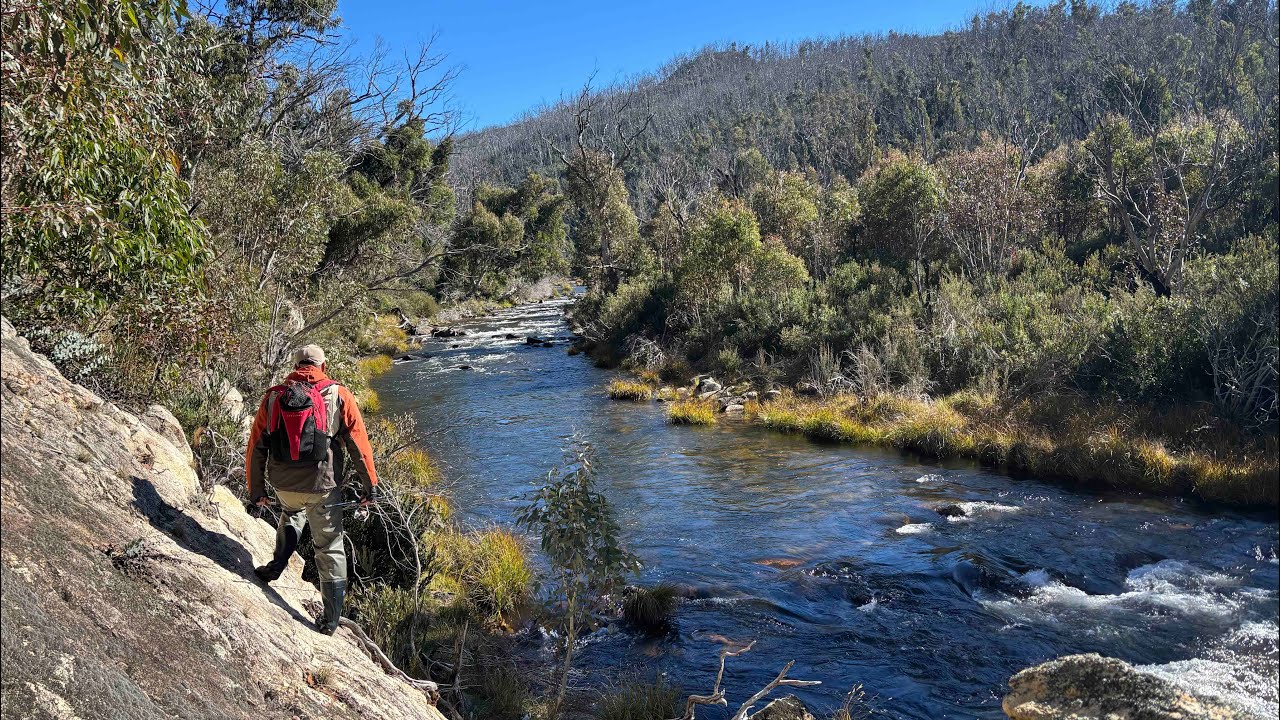 Tommy Time Lands Personal-Best Fly Trout on the Snowy Mountains Spawn Run
