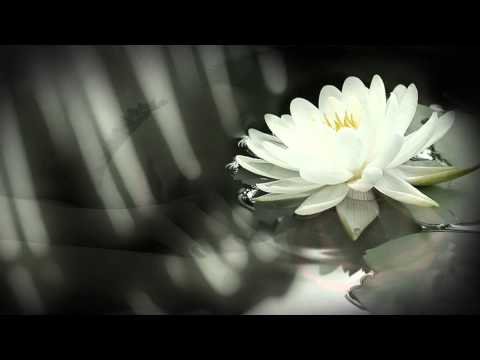 Simmonds & Jones -  Am i on your Mind