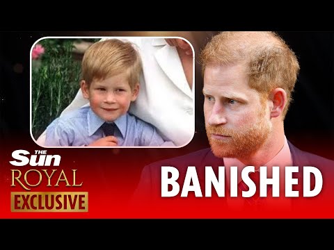 I watched Prince Harry grow up - I know why he won't EVER return to royal life
