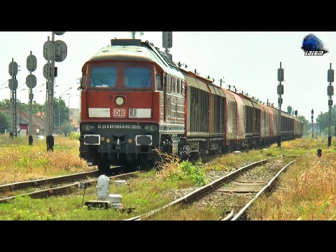 BR232 Ludmilla 65-1005-6 & Marfar DB Cargo Freight Train in Gara Oradea Vest Station - 21 July 2020