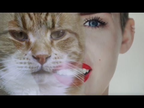 Keyboard Cat Artist Compilation - Charlie Schmidt