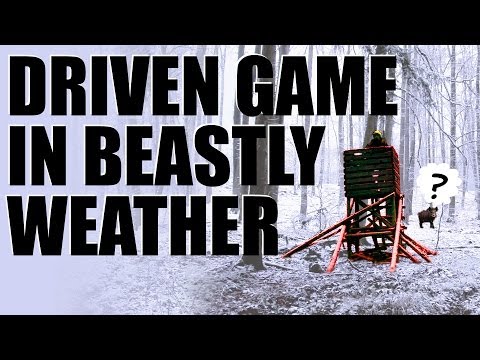 Fieldsports Britain – Driven game in Christmassy weather Fieldsports Britain – Driven game in Christmassy weather