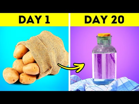 HOMEMADE VODKA IN 20 DAYS