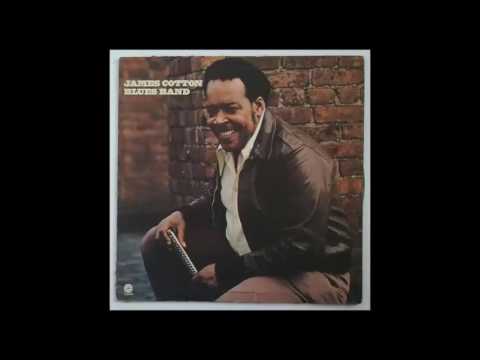James Cotton Blues Band - She Moves Me (1994)
