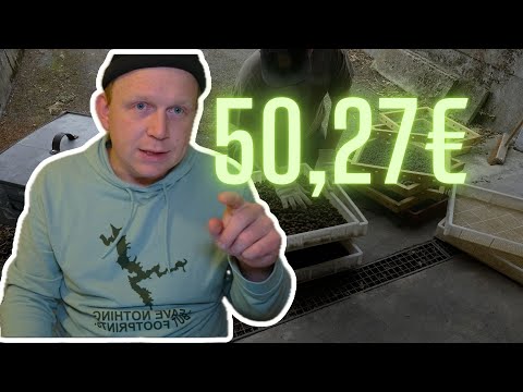 Boilies selber machen - Lohnt sich das überhaupt oder doch lieber kaufen?