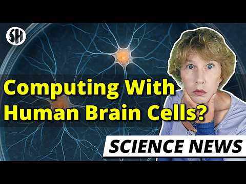 Crazy: Scientists Compute With Human Brain Cells