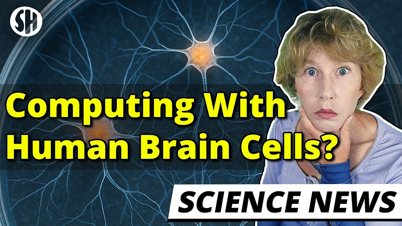 Crazy: Scientists Compute With Human Brain Cells