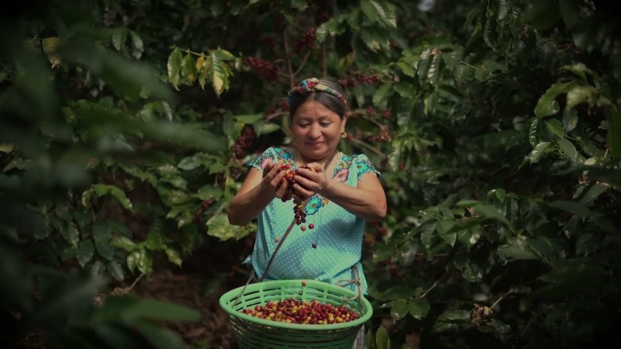 Tu momento ☕ Café Tierra Madre | ¿Te apetece un mundo más justo?