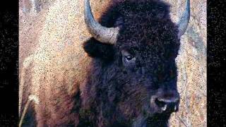 Track01 Sience Is Golden