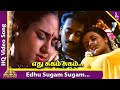 Edhu Sugam Sugam Video Song Vandicholai Chinraasu Songs Sathyaraj Sivaranjani A R Rahman