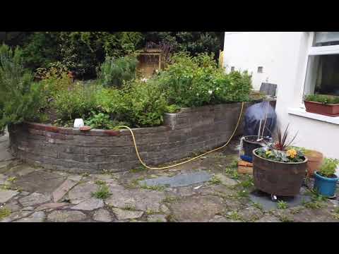 BGJSM Gardening Services video.