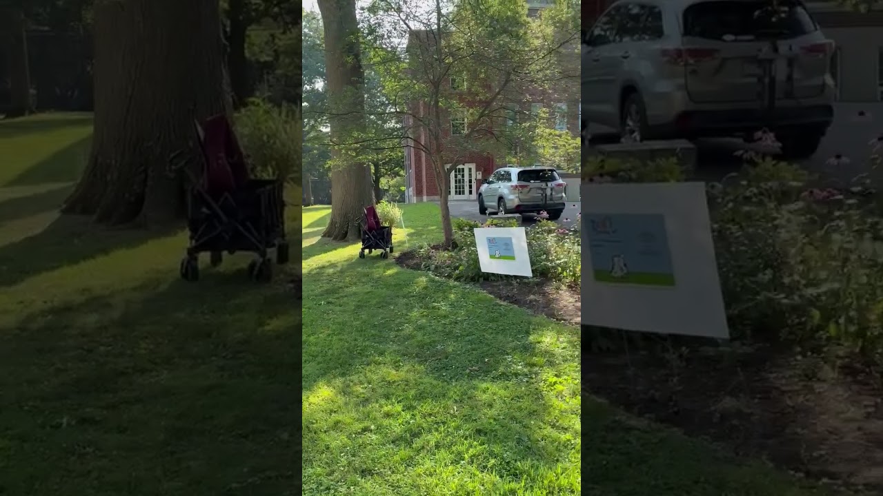 Promotional video thumbnail 1 for Harpist-Miriam Shilling