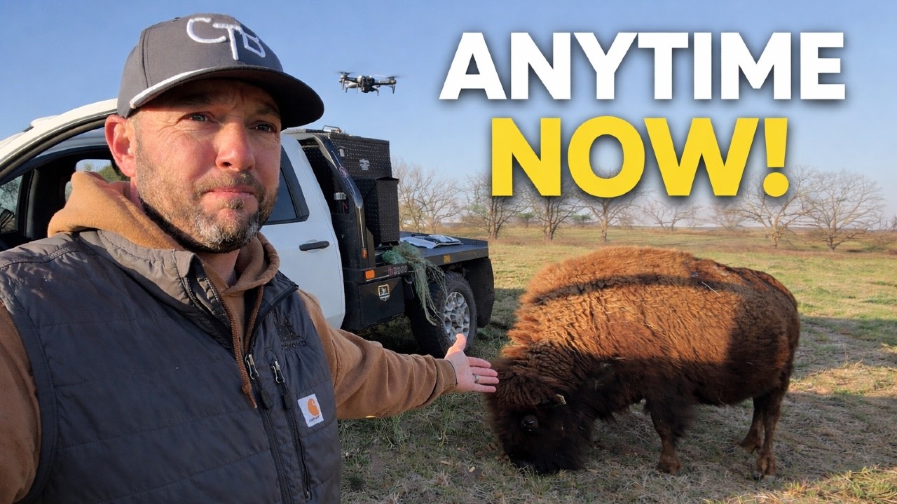 Eleanor Is About to Calve...But I’m Worried!