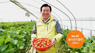 흥미진진공주 시정뉴스 NO.47 이미지