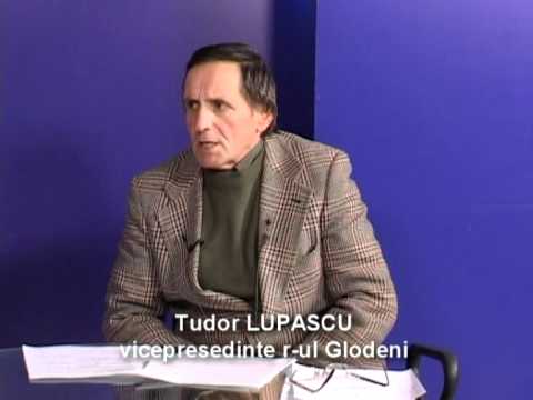 Realitati si perspective 2