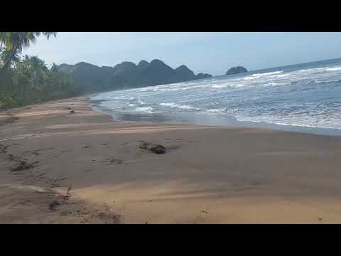 Playa Chaguaramas de Sotillo Municipio Arismendi Edo. Sucre en la península de Paria 