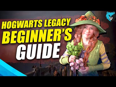 ULTIMATE Hogwarts Legacy Beginner's Guide