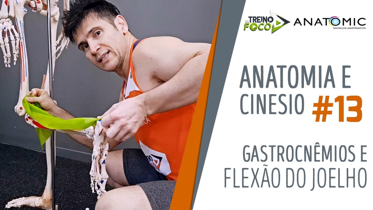 Gastrocnêmios e flexão do JOELHO - Anatomia e Cinesiologia #13