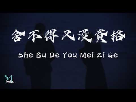 Xian Wai Zhi Yin (弦外之音) - She Bu De You Mei Zi Ge (舍不得又没资格) Lyrics 歌词 Pinyin/English Translation