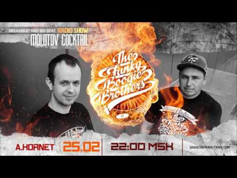 Molotov Cocktail #020 - The Funky Boogie Brothers [BLR] guest big beat mix (25.02.16)