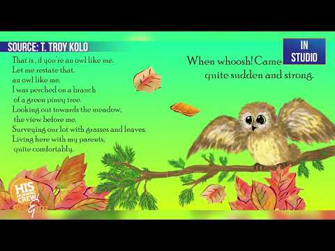 Rocky the Owl is a new Children's book!