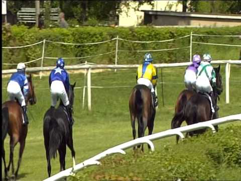 Galopprennbahn Dresden - 1.Rennen 10.05.2015