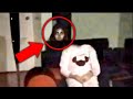 Itni Drawani Video😰 || 5 Real Ghost Videos That'll Satisfy Your HORROR DOSE Again