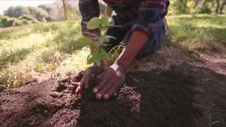 Global Compact+15: Business as a Force for Good