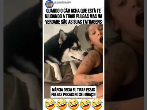 Quando o seu cão acha que está te ajudando a tirar suas pulgas mas na verdade são as suas tatuagens.