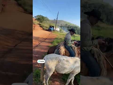 12º Dia|DEU RUIM-Itaim Cachoeira de MG a Paraisópolis - MG  #fyp #horse #cavalo #muladeiros #agro