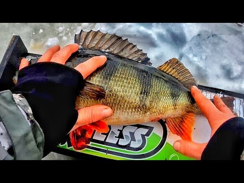 1138G & 44CM | AHVENEN KÖRMY | AHVENEN PILKINTÄ | ORKA SMALL FISH