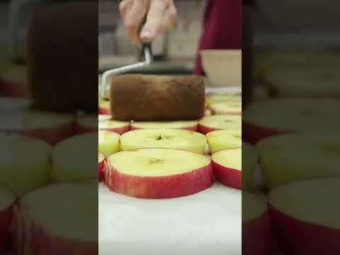 この #リンゴ は実験室で栽培されました #ショートパンツ #scienceinsider #labgrown #plantscience (These #apples were grown in a lab #shorts #scienceinsider #labgrown #plantscience)