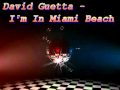 LMFAO & Chuckie/David Guetta - I'm In Miami ...