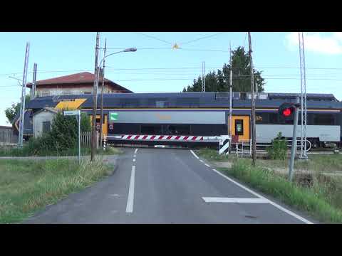 Passaggio a livello di via Farosi - Castelbolognese (RA) / Level Crossing / passage à niveau / 平交路口