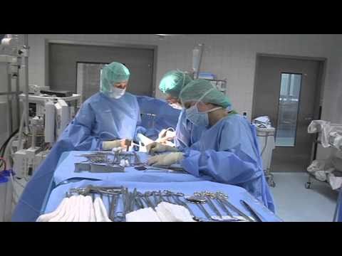 Preise Prostamol in Tver Welche Größe der Steine in der Prostata