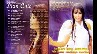 Download lagu 12 Lagu Enakan Dian Anic 2013 Full Album mp3